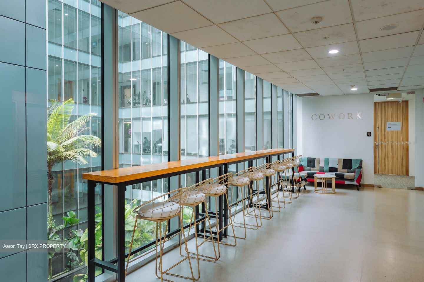 Thong Teck Building (D9), Office #552879901